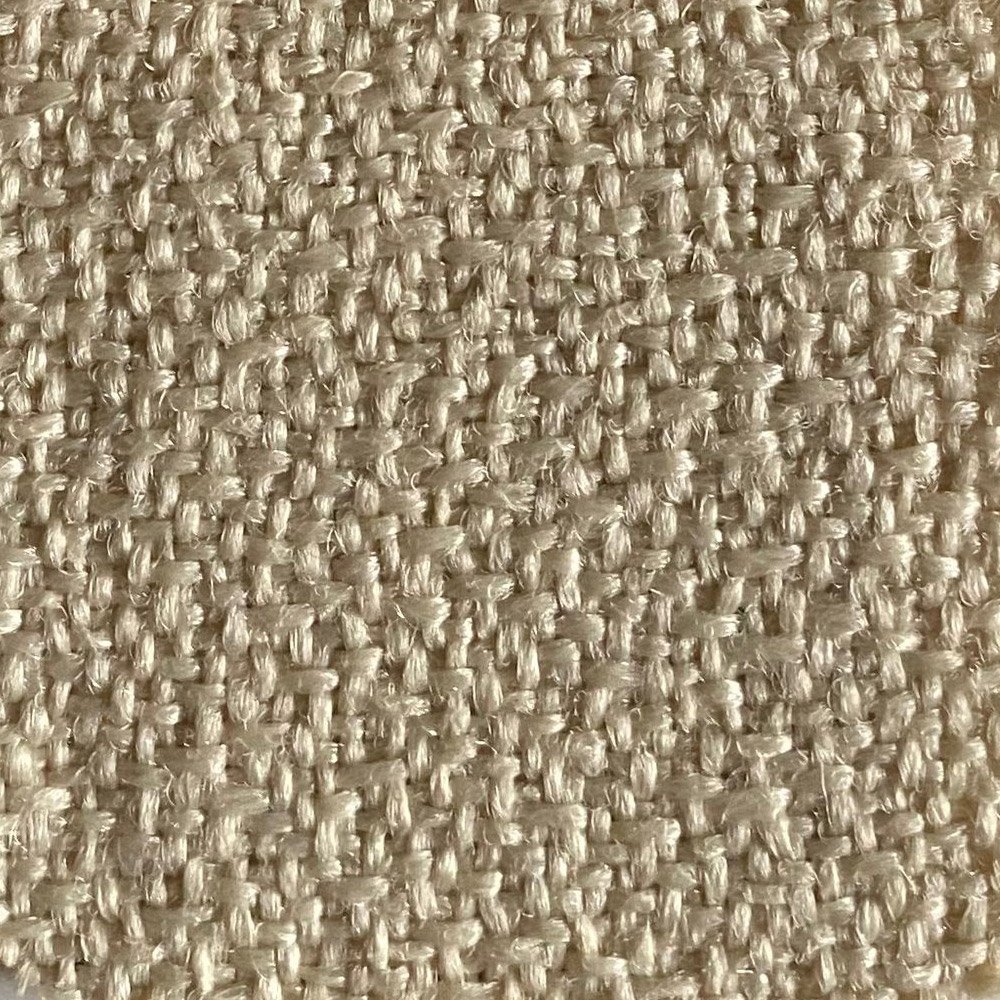 Mashroom Moss Mashroom Moss